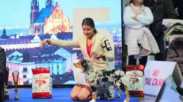 Duo Cacib Brno 2019, TOP víkend